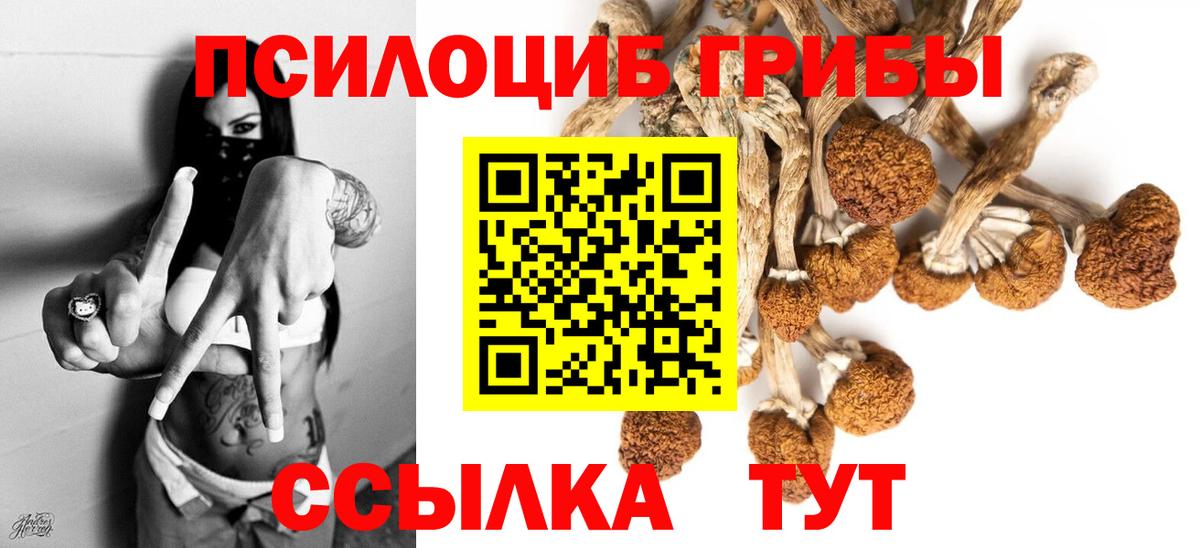 Старый Оскол  Галлюциногенные грибы Magic Shrooms  Вход с VPN 